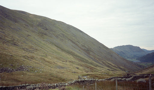 SPECTATOR